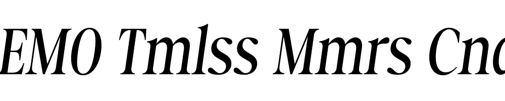 FSP DEMO Tmlss Mmrs Cnd Italic