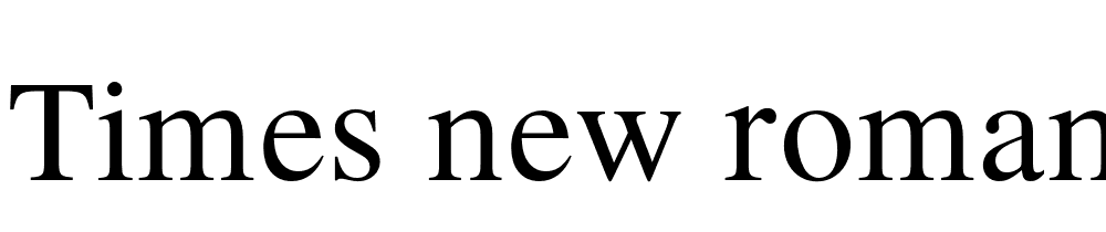 Times New Roman