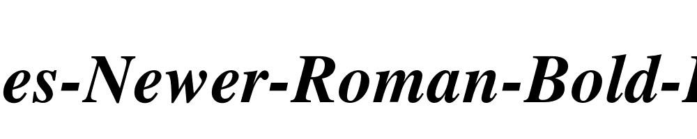 Times-Newer-Roman-Bold-Italic