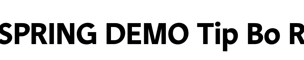  DEMO Tip Bo Regular