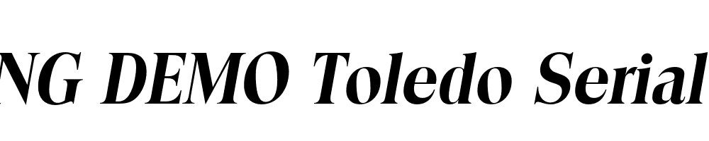  DEMO Toledo Serial Bold Italic