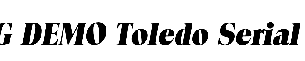  DEMO Toledo Serial Heavy Italic