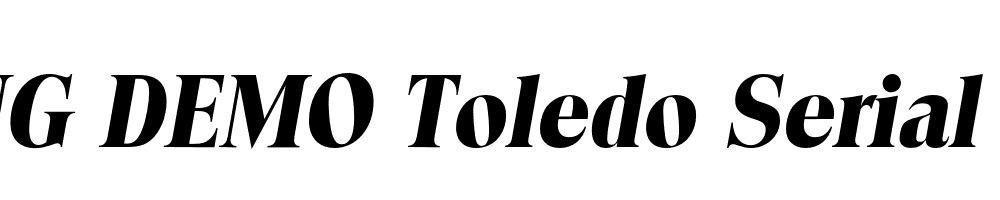  DEMO Toledo Serial Xbold Italic