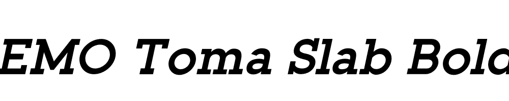 FSP DEMO Toma Slab Bold Italic