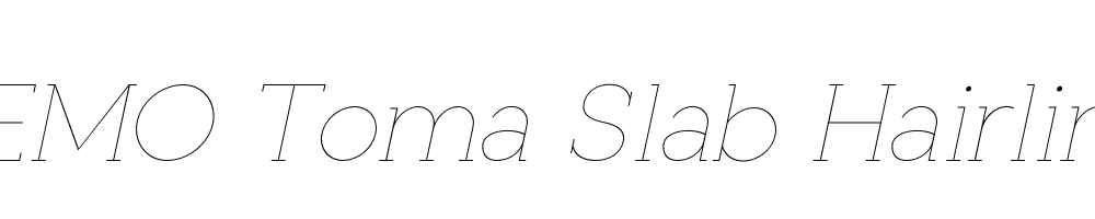 FSP DEMO Toma Slab Hairline Italic