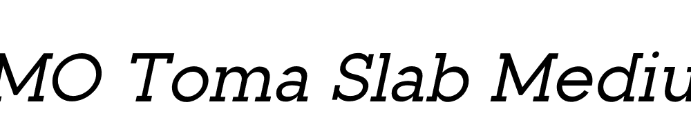 FSP DEMO Toma Slab Medium Italic