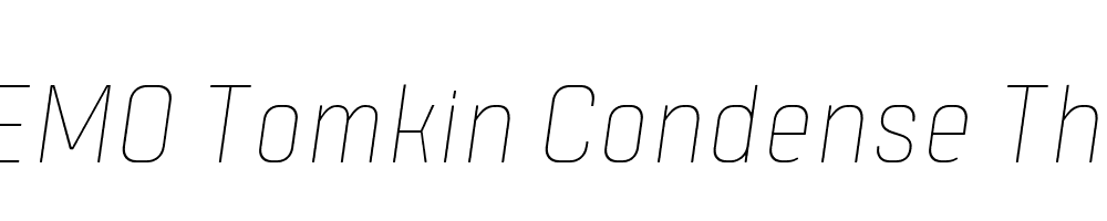 FSP DEMO Tomkin Condense Thin Italic