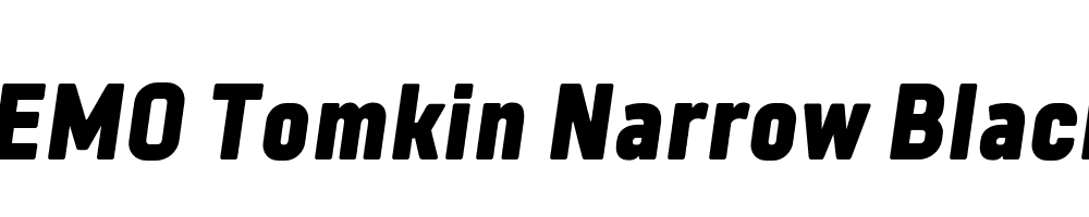 FSP DEMO Tomkin Narrow Black Italic