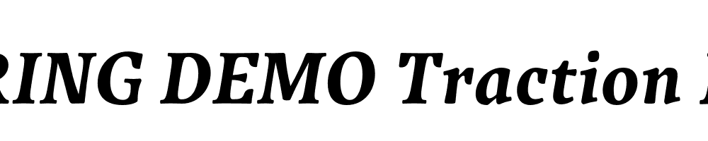  DEMO Traction Bold Italic