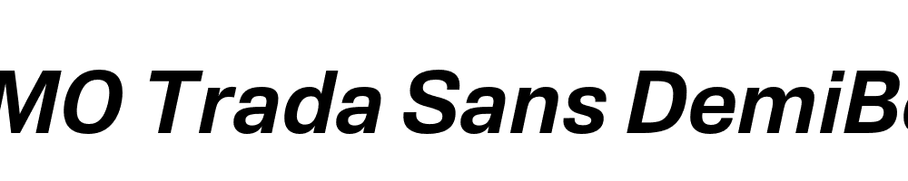 FSP DEMO Trada Sans DemiBold Italic