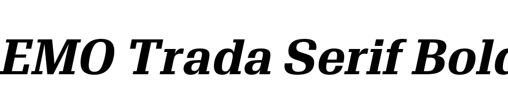 FSP DEMO Trada Serif Bold Italic