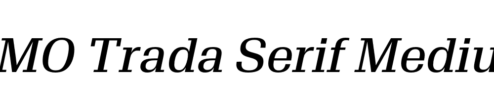 FSP DEMO Trada Serif Medium Italic