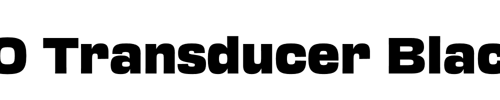 FSP DEMO Transducer Black Regular