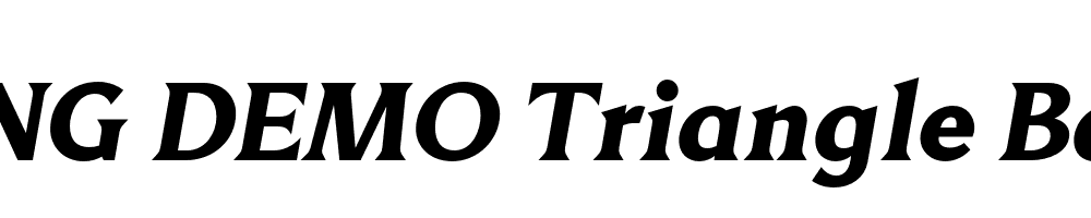  DEMO Triangle Bd Bold Italic