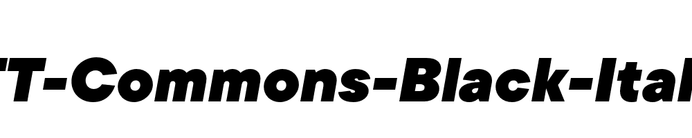 TT-Commons-Black-Italic