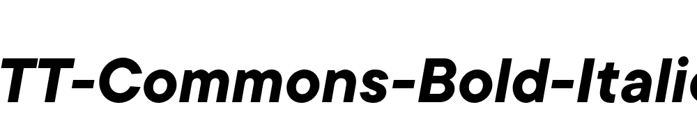 TT-Commons-Bold-Italic