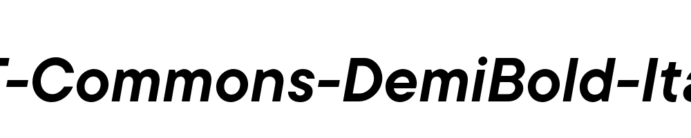 TT-Commons-DemiBold-Italic