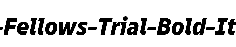 TT-Fellows-Trial-Bold-Italic