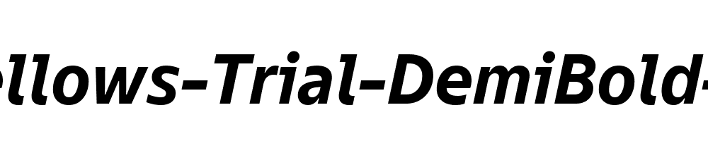 TT-Fellows-Trial-DemiBold-Italic