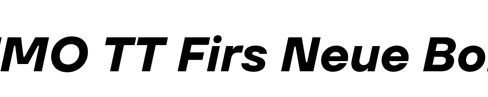 FSP DEMO TT Firs Neue Bold Italic