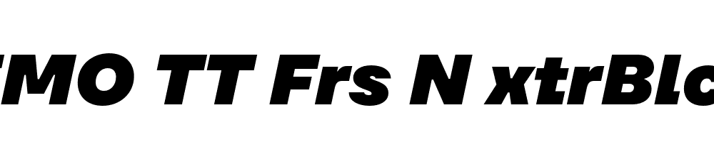 FSP DEMO TT Frs N xtrBlck Italic