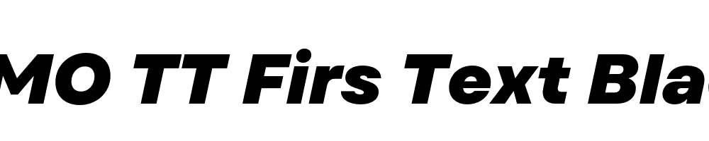 FSP DEMO TT Firs Text Black Italic