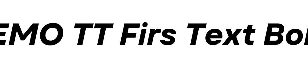 FSP DEMO TT Firs Text Bold Italic