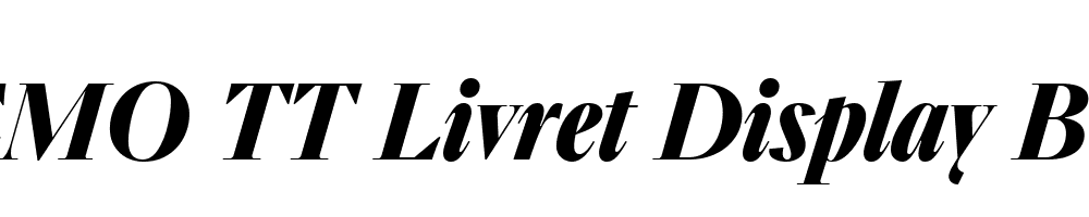 FSP DEMO TT Livret Display Bold Italic