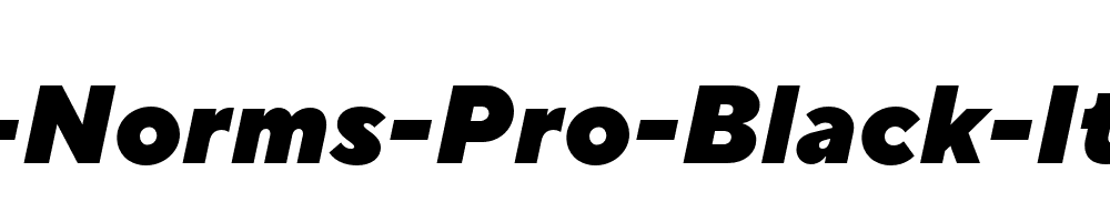 TT-Norms-Pro-Black-Italic