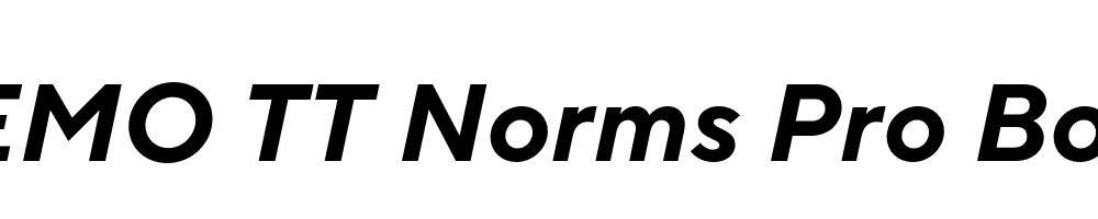 FSP DEMO TT Norms Pro Bold Italic