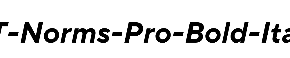 TT-Norms-Pro-Bold-Italic