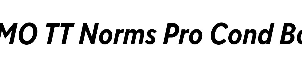 FSP DEMO TT Norms Pro Cond Bold Italic