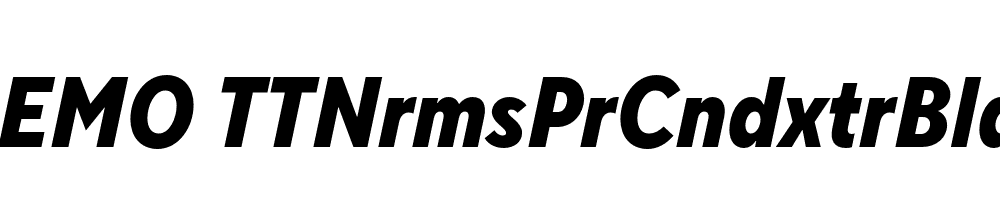 FSP DEMO TTNrmsPrCndxtrBld Italic