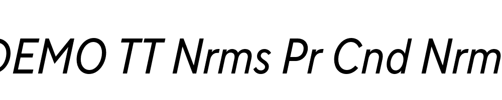 FSP DEMO TT Nrms Pr Cnd Nrml Italic