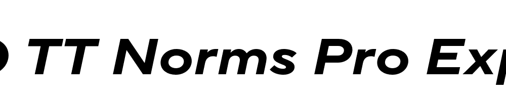 FSP DEMO TT Norms Pro Exp Bold Italic