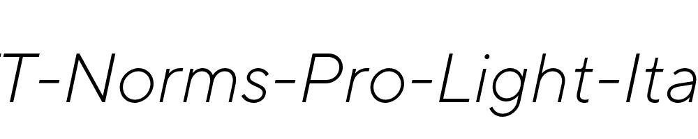 TT-Norms-Pro-Light-Italic