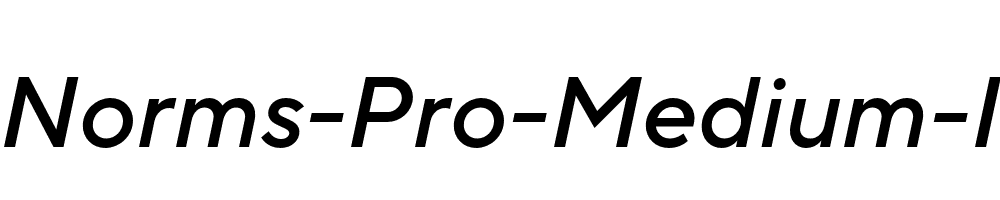 TT-Norms-Pro-Medium-Italic