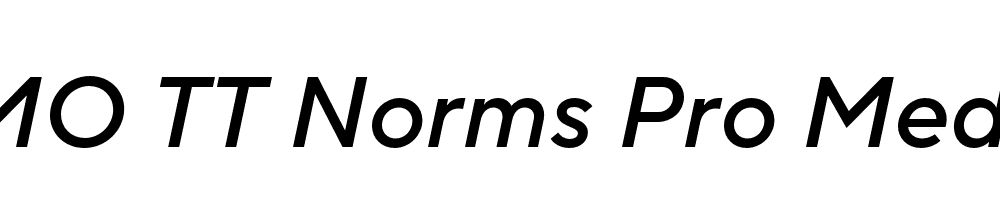 FSP DEMO TT Norms Pro Medium Italic