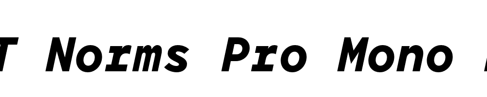 FSP DEMO TT Norms Pro Mono Bold Italic