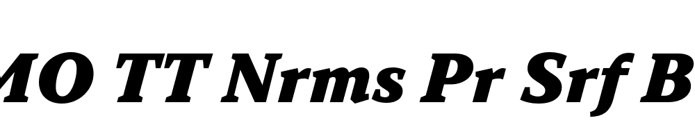 FSP DEMO TT Nrms Pr Srf Blck Italic