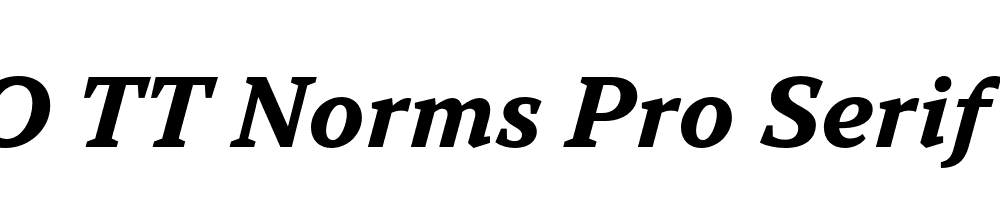 FSP DEMO TT Norms Pro Serif Bold Italic