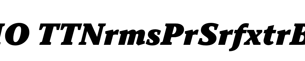 FSP DEMO TTNrmsPrSrfxtrBlck Italic