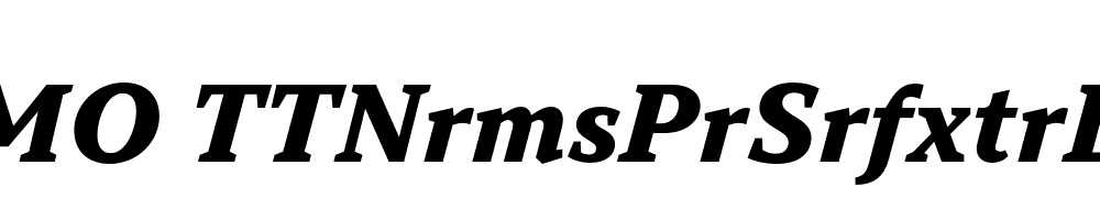 FSP DEMO TTNrmsPrSrfxtrBld Italic