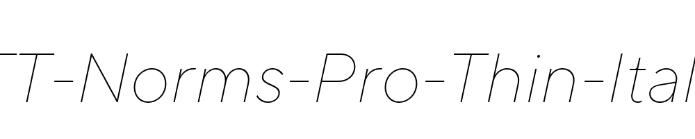 TT-Norms-Pro-Thin-Italic