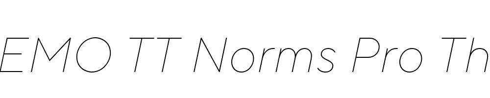 FSP DEMO TT Norms Pro Thin Italic