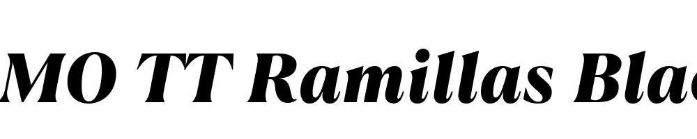 FSP DEMO TT Ramillas Black Italic