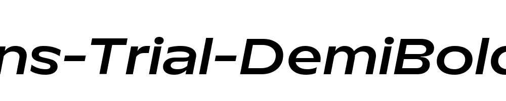 TT-Runs-Trial-DemiBold-Italic