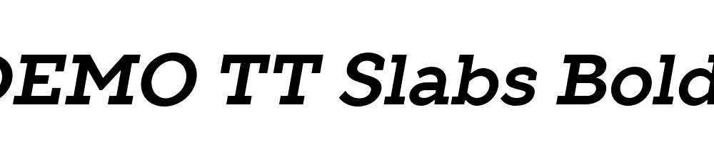 FSP DEMO TT Slabs Bold Italic