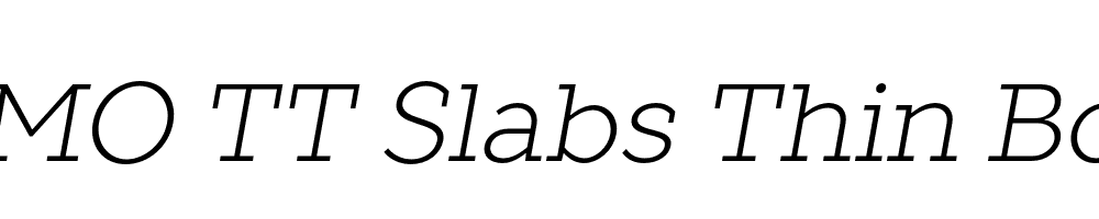 FSP DEMO TT Slabs Thin Bold Italic