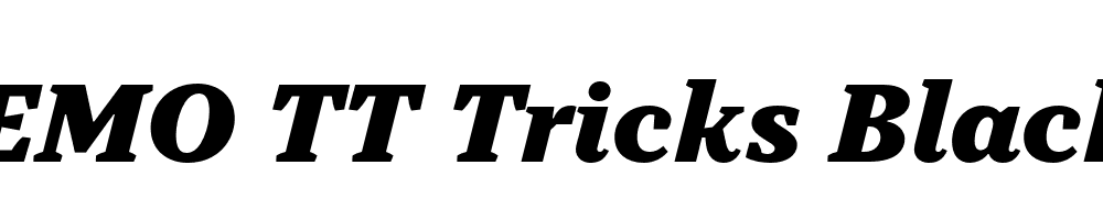 FSP DEMO TT Tricks Black Italic